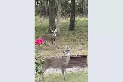 221 Greene Road, Weatherford, TX 76087 - Photo 31