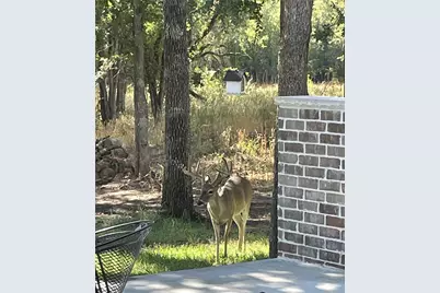 221 Greene Road, Weatherford, TX 76087 - Photo 33