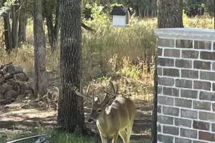 221 Greene Rd, Weatherford, TX 76087 - Photo 33