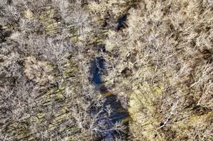 1382 Co Rd 2738, Caddo Mills, TX 75135 - Photo 13