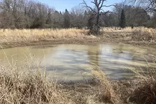 15314 Fm 3062, Malakoff, TX 75148 - Photo 5