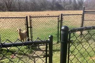 15314 Fm 3062, Malakoff, TX 75148 - Photo 7