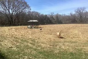 15314 Fm 3062, Malakoff, TX 75148 - Photo 9