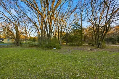 Tbd SE 1st, Cooper, TX 75432 - Photo 5