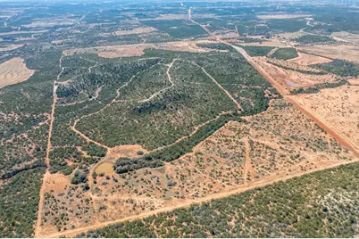 782 County Rd 145, Sweetwater, TX 79556 - Photo 9