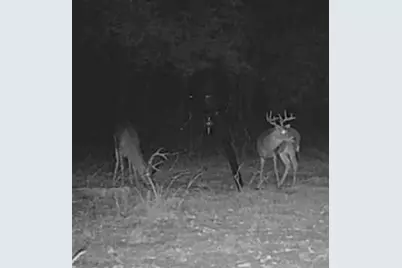 7222 Fm 905, Paris, TX 75462 - Photo 39