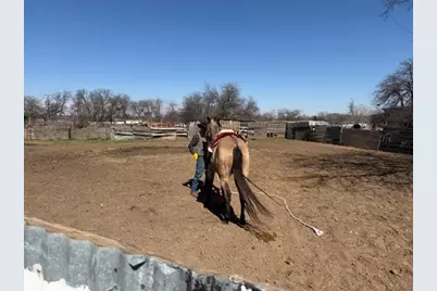 4815 Garden Lane, Fort Worth, TX 76119 - Photo 3