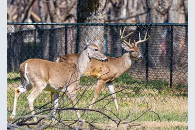 2167 E Landings N, Granbury, TX 76049 - Photo 15