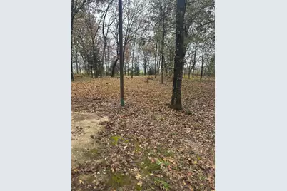 225 County Road 1975, Yantis, TX 75497 - Photo 3