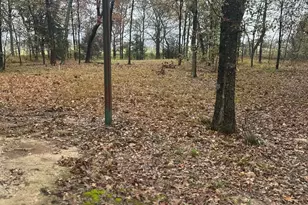 225 Co Rd 1975, Yantis, TX 75497 - Photo 3