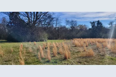 2846 County Road 2415, Pickton, TX 75471 - Photo 3