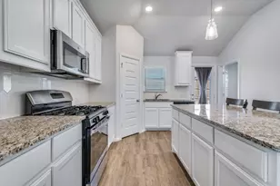 14005 Danesdale Dr, Pilot Point, TX 76258 - Photo 11