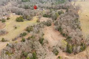 2605 Vz County Road 4923, Ben Wheeler, TX 75754 - Photo 1