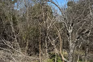 1280 Paint Brush Ct, Whitney, TX 76692 - Photo 1