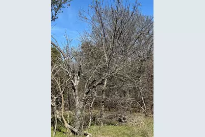 1280 Paint Brush Court, Whitney, TX 76692 - Photo 3