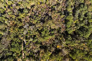 Tbd Vz County Road 4815, Chandler, TX 75758 - Photo 1