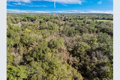 Tbd Vz County Road 4815, Chandler, TX 75758 - Photo 11