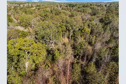 Tbd Vz County Road 4815, Chandler, TX 75758 - Photo 19