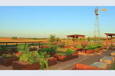 4141 Dewberry Lane, Prosper, TX 75078 - Photo 39