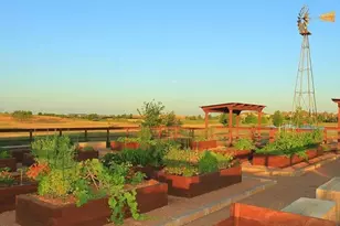 4141 Dewberry Ln, Prosper, TX 75078 - Photo 39