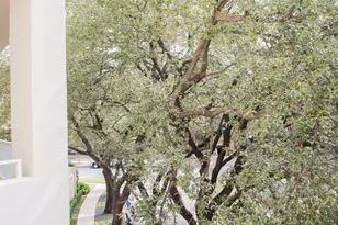 4500 Roland Ave, Highland Park, TX 75219 - Photo 9