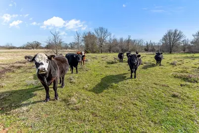 Tbd Hcr 2424, Hillsboro, TX 76645 - Photo 29