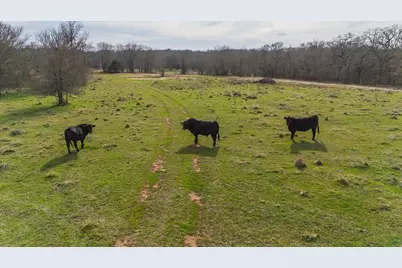 Tbd Hcr 2424, Hillsboro, TX 76645 - Photo 11