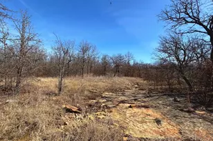 0000 Sunset Bay Pointe Ct, Chico, TX 76431 - Photo 1