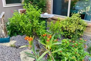 7449 Timberhill Dr, North Richland Hills, TX 76182 - Photo 37