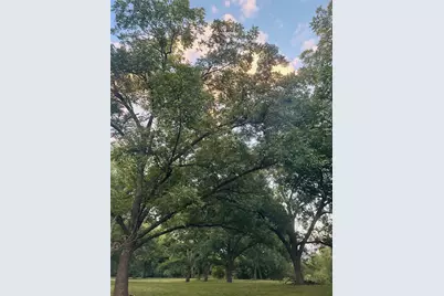 Tbd2 County Road 131, Gainesville, TX 76240 - Photo 5
