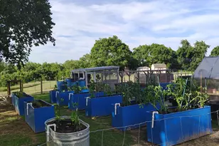 1147 Hill County Rd 1458, Itasca, TX 76055 - Photo 39