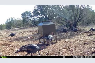 Tbd County Road 156, Stephenville, TX 76401 - Photo 9