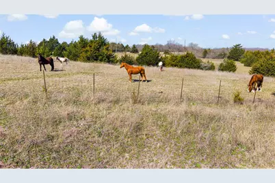 11016 State Highway 78 N, Blue Ridge, TX 75424 - Photo 27