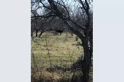 Tbd 14 Acres Winn Road, Collinsville, TX 76233 - Photo 5