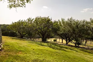 270 Stone Mountain Rd, Cresson, TX 76035 - Photo 33