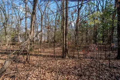 Lot 744 Oak Haven Drive, Gun Barrel City, TX 75156 - Photo 3