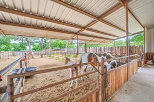 6363 E FM 1188, Bluff Dale, TX 76433 - Photo 27