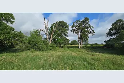 Tbd George Wachel Rd. Road, Bremond, TX 76629 - Photo 7