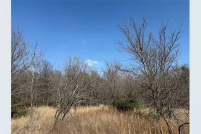 Lots 16 & 17 Block B, Corsicana, TX 75109 - Photo 9