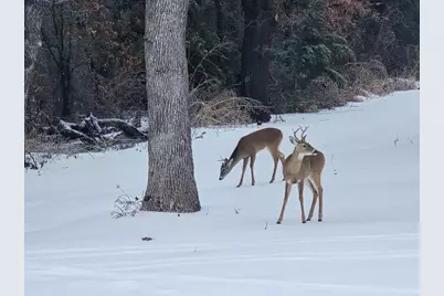 550 County Road 343, Forestburg, TX 76239 - Photo 35