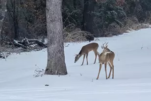 550 Co Rd 343, Forestburg, TX 76239 - Photo 35