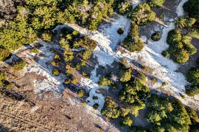 Tbd Fm 455, Weston, TX 75097 - Photo 7