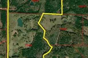 Tbd County Road 3045, Dodd City, TX 75438 - Photo 1