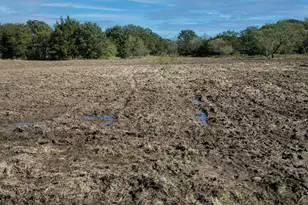 16300 Co Rd 255, Poetry, TX 75160 - Photo 35