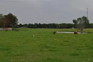 102 Bowers St, Seagoville, TX 75159 - Photo 13