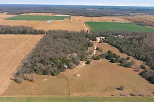 847 Vz County Road 2213, Canton, TX 75103 - Photo 39