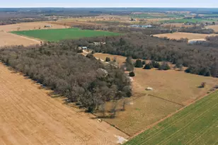 847 Vz County Road 2213, Canton, TX 75103 - Photo 11