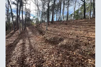 568 Lake Gladewater Drive, Gladewater, TX 75647 - Photo 13