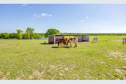 3678 County Road 3655, Bridgeport, TX 76426 - Photo 13