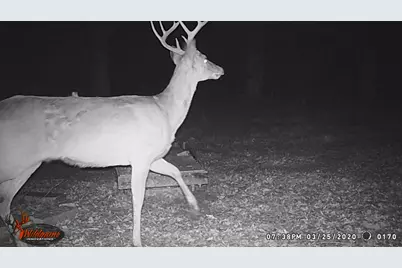 0000 Cr 3107, Bonham, TX 75418 - Photo 35